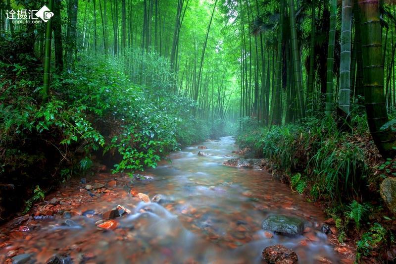 所谓的无糖汽水真的不含糖吗？无糖汽水喝多了会怎样？游戏画面