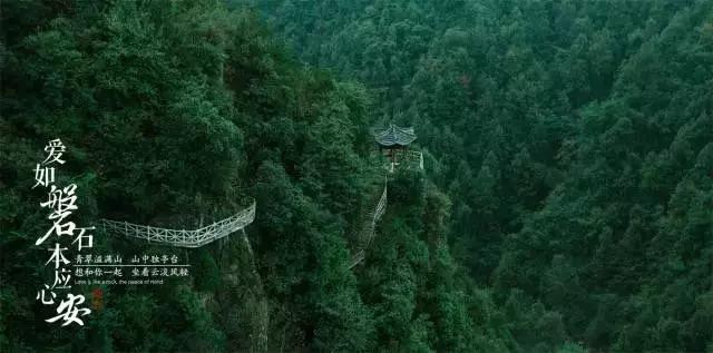 巧虎足球传送门