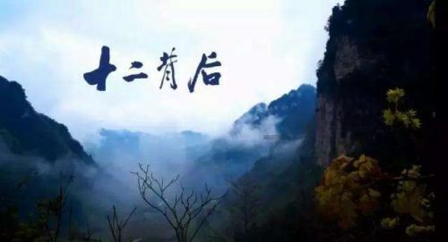可爱小猫向上跳