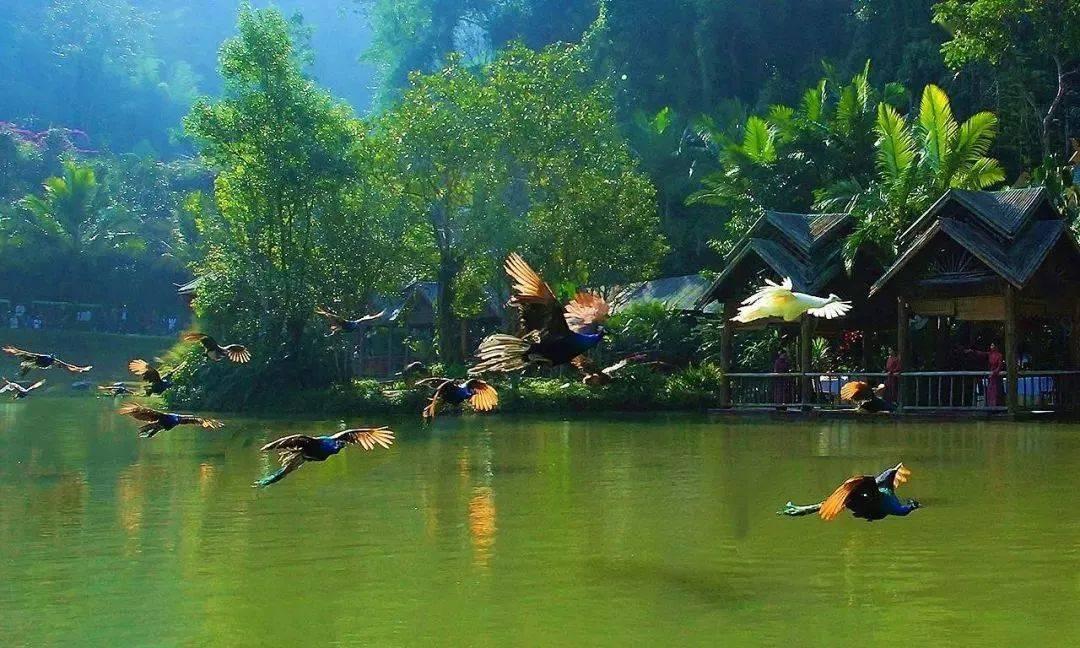 逃出奶油苹果屋