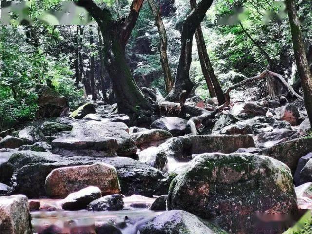 从读报中寻找力量