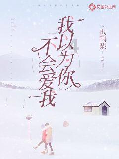 破碎的动物图形2
