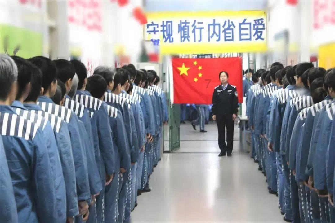 寻找萌小老虎